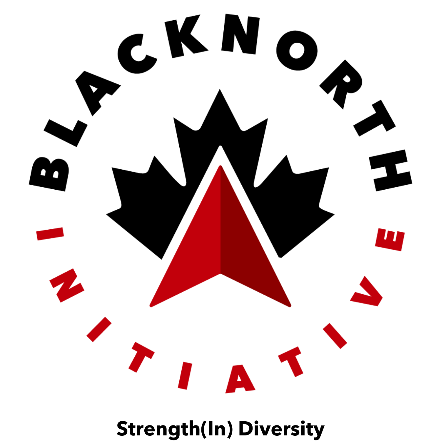 BlackNorth Initiative logo