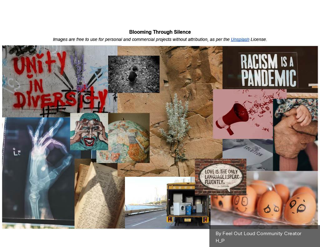 A collage of images representing the perspective of a newcomer youth by a Community Creator